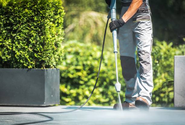 Best Gutter Cleaning and Brightening in Wallburg, NC
