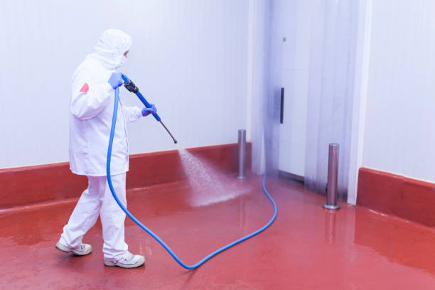 Best Pool Deck Cleaning in Wallburg, NC